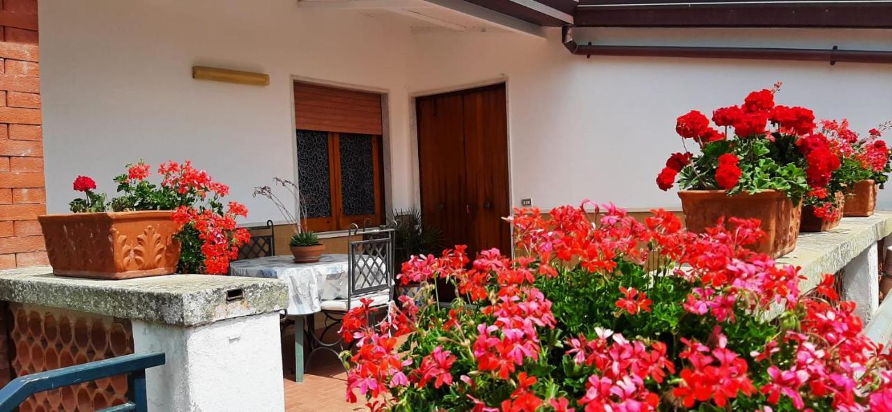 Villa Persico Massa Lubrense Zewnętrze zdjęcie